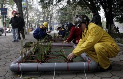 Chuyện cứu “cụ” rùa hồ Hoàn Kiếm trên báo Mỹ - 3