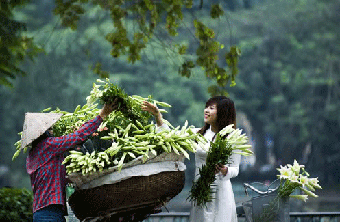 Hoa đồng nội tháng Ba - 1 Hoa đồng nội tháng Ba - 1