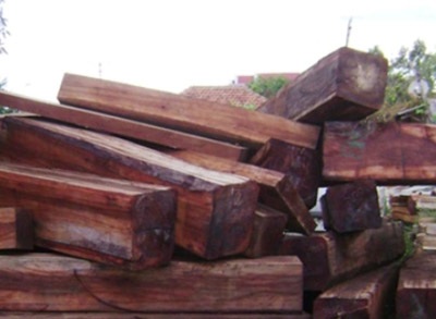 Bắt số lượng gỗ lớn thả nổi trên sông - 2 Bắt số lượng gỗ lớn thả nổi trên sông - 2