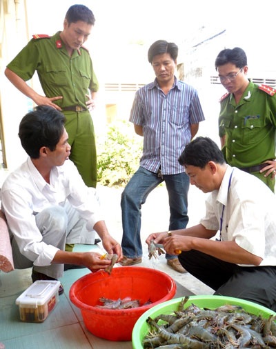 Bắt 2 xe tải chở 1.200kg tôm chứa tạp chất - 1 Bắt 2 xe tải chở 1.200kg tôm chứa tạp chất - 1