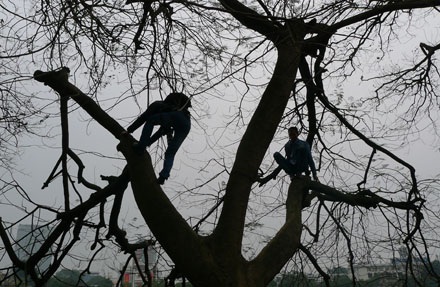 Đếm... kịch tính cuộc lai dắt cụ Rùa - 16