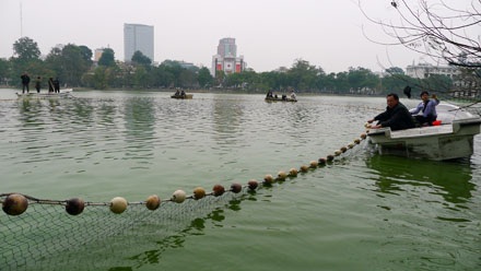 Đếm... kịch tính cuộc lai dắt cụ Rùa - 6