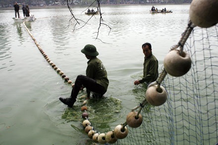 Đếm... kịch tính cuộc lai dắt cụ Rùa - 5