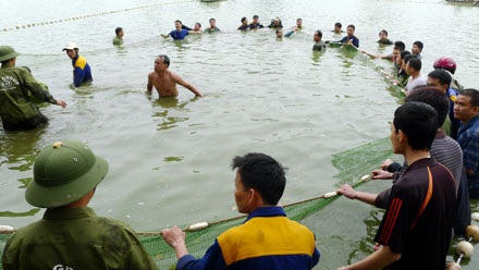 Đếm... kịch tính cuộc lai dắt cụ Rùa - 18