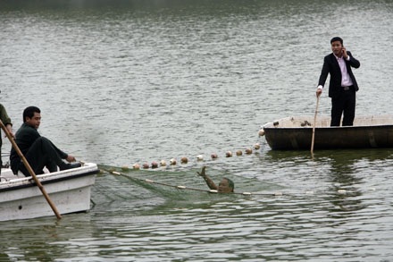 Đếm... kịch tính cuộc lai dắt cụ Rùa - 17