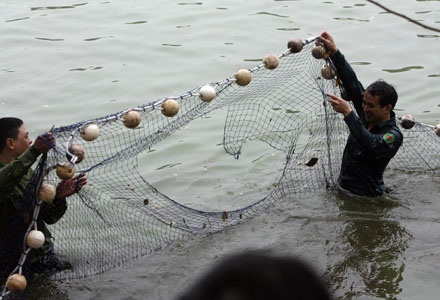 Đếm... kịch tính cuộc lai dắt cụ Rùa - 20