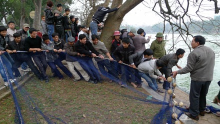 Đếm... kịch tính cuộc lai dắt cụ Rùa - 8