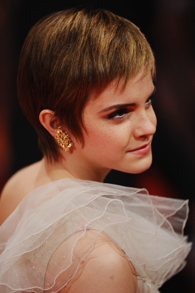 Emma Watson tạm dừng học để đóng phim - 1
