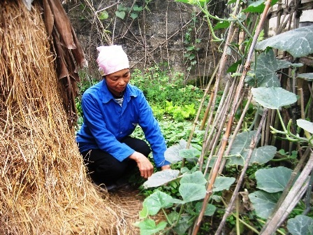 Thắt lòng nhìn con bị bệnh tật hành hạ - 1