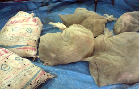 Bắt vụ vận chuyển động vật hoang dã từ Lào về Việt Nam  - 1