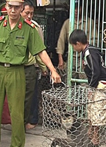 Khởi tố đối tượng buôn bán voọc chà vá chân đen - 1 Khởi tố đối tượng buôn bán voọc chà vá chân đen - 1