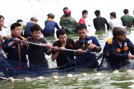 Huy động 20 chiến sỹ đặc công tham gia lai dắt cụ Rùa  - 1