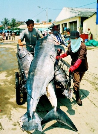 Năm du lịch quốc gia 2011: Đẩy mạnh du lịch biển, đảo - 11 Năm du lịch quốc gia 2011: Đẩy mạnh du lịch biển, đảo - 11