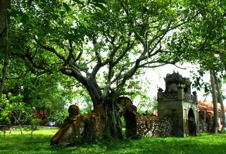 Năm du lịch quốc gia 2011: Đẩy mạnh du lịch biển, đảo - 2 Năm du lịch quốc gia 2011: Đẩy mạnh du lịch biển, đảo - 2