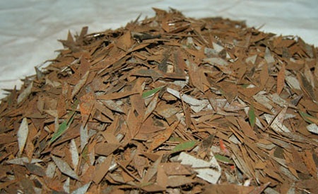 Đinh tặc rải gần nửa tấn đinh, vật nhọn khắp TPHCM - 1 Đinh tặc rải gần nửa tấn đinh, vật nhọn khắp TPHCM - 1