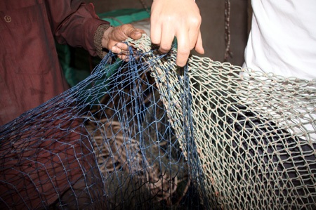 Hối hả làm lưới “khủng” dẫn dắt cụ Rùa - 14