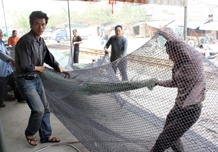 Hối hả làm lưới “khủng” dẫn dắt cụ Rùa - 9