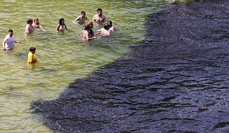 Cá nhuộm đen bờ biển Mexico - 8