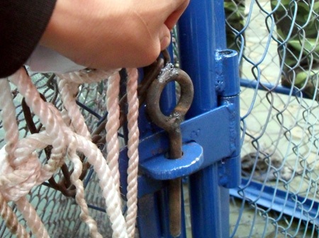 Đặc công nước đội mưa diễn tập dẫn dắt cụ Rùa - 6