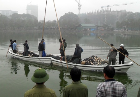 Đặc công nước đội mưa diễn tập dẫn dắt cụ Rùa - 7