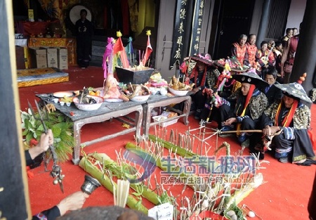 Sợi mì dài 1.700m - 5 Sợi mì dài 1.700m - 5