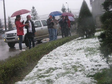 Tuyết rơi trắng Sa Pa - 15