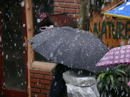 Tuyết rơi trắng Sa Pa - 7