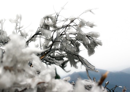 Băng tuyết trắng muốt vùng cao Hà Giang - 1 Băng tuyết trắng muốt vùng cao Hà Giang - 1