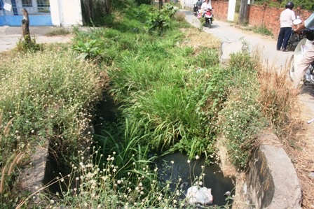Thêm một “kênh Ba Bò” hôi thối, đặc quánh rác thải - 2