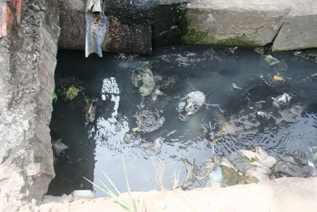 Thêm một “kênh Ba Bò” hôi thối, đặc quánh rác thải - 1