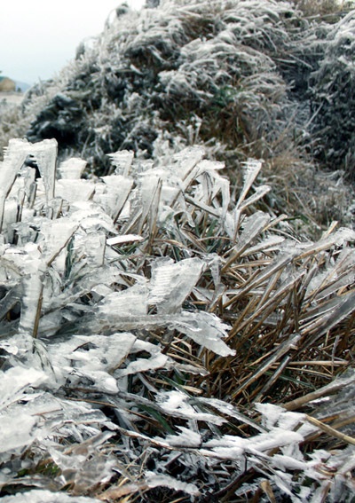 Băng tuyết trắng muốt vùng cao Hà Giang - 2 Băng tuyết trắng muốt vùng cao Hà Giang - 2