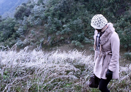 Băng tuyết trắng muốt vùng cao Hà Giang - 4 Băng tuyết trắng muốt vùng cao Hà Giang - 4