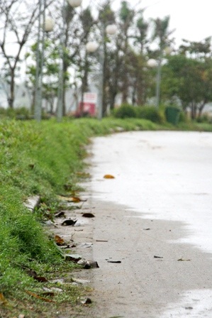 Đường Trịnh Công Sơn - những góc nhìn đẹp - 7