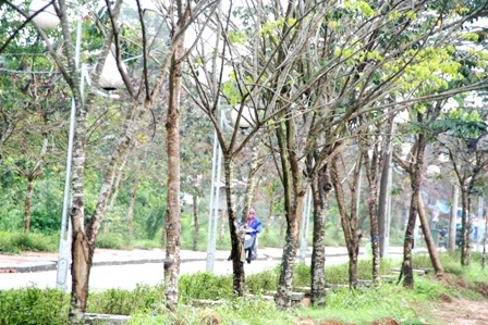 Đường Trịnh Công Sơn - những góc nhìn đẹp - 5