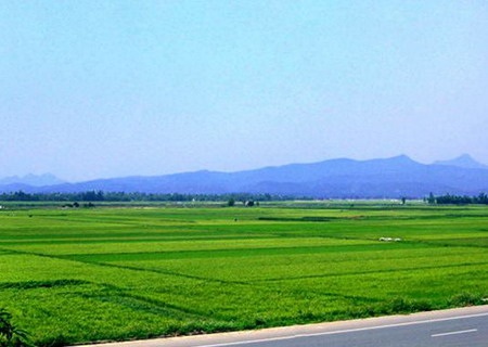 Lung linh chùm hoa đồng nội - 15