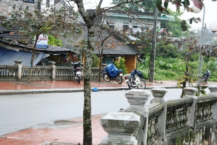 Đường Trịnh Công Sơn - những góc nhìn đẹp - 4