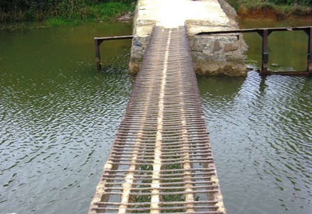 Chênh vênh qua cầu tìm chữ - 3
