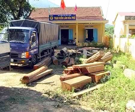 Kiểm lâm có được quyền ra dừng xe để kiểm tra? - 1