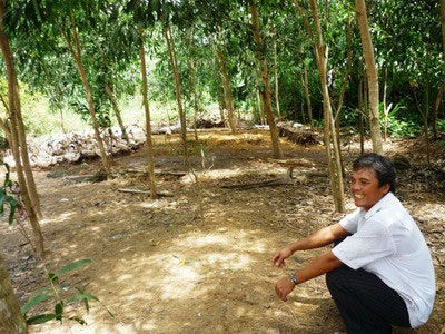 Những triệu phú nông dân đáng nể ở Bình Định - 2 Những triệu phú nông dân đáng nể ở Bình Định - 2