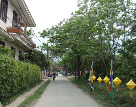 Nao lòng ngắm sắc tím hoa xoan  - 7