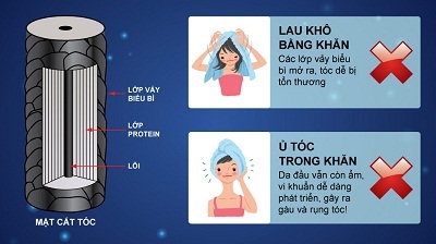 Tóc khỏe là tóc đẹp! - 1 Tóc khỏe là tóc đẹp! - 1
