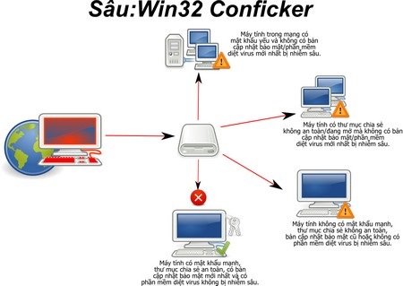 Khám phá quá trình xuất hiện và “tiến hóa” của Virus - 4