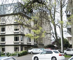 Du học New Zealand cùng Hoàn Cầu Việt - Học viện Computer Power - 1 Du học New Zealand cùng Hoàn Cầu Việt - Học viện Computer Power - 1