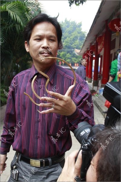 Móng tay dài hơn 20cm - 4 Móng tay dài hơn 20cm - 4