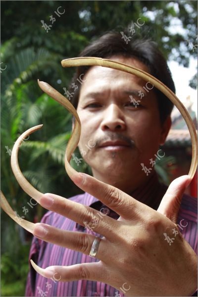 Móng tay dài hơn 20cm - 1 Móng tay dài hơn 20cm - 1