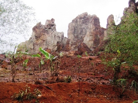 Huyện thờ ơ, doanh nghiệp khai thác đất bừa bãi - 1