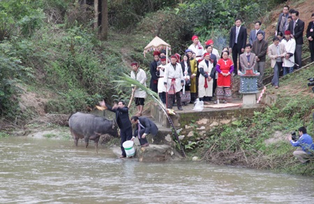 Lạ lùng lễ chém trâu hội đền Chín Gian - 2
