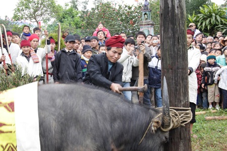 Lạ lùng lễ chém trâu hội đền Chín Gian - 6