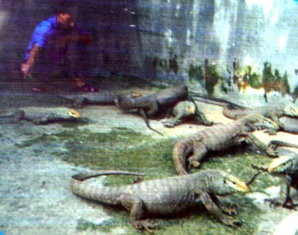 “Khi tổ quốc cần, thanh niên xin sẵn sàng” - 17