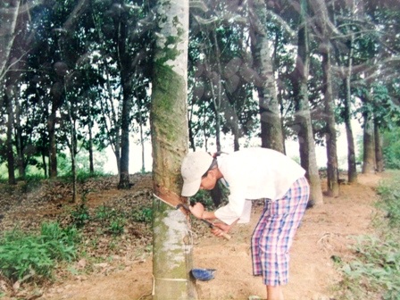 “Khi tổ quốc cần, thanh niên xin sẵn sàng” - 18